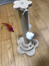 欢宠网猫抓柱猫抓板猫爬架猫玩具猫咪立式剑麻自嗨解闷神器猫猫小猫幼猫 实拍图