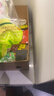 劲仔爆汁鹌鹑蛋 卤香味 28g 卤蛋小包装办公室零食小吃休闲食品 实拍图