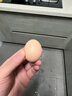 芮瑞 农家散养新鲜现捡土鸡蛋笨鸡蛋谷物柴鸡蛋初生蛋 单枚40g±3g 20枚 实拍图