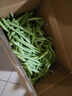 农家四季豆新鲜现摘云南长扁豆角农家应当季蔬菜芸豆现摘菜豆 新鲜四季豆2斤带箱 实拍图