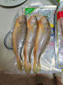 三都港 冷冻三去黄花鱼500g/3条装 小黄鱼 深海鱼 生鲜鱼类 海鲜 年货 实拍图