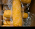 建三江黄金糯玉米3.8斤 240g*8根 黏玉米 东北玉米 早餐零食 实拍图