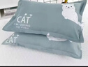 枕头枕芯套装单人一只枕头带枕套宿舍整头颈椎枕可拆洗枕头一对装 5大肥猫 一个枕芯一个枕套 实拍图
