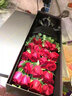 莱一刻鲜花速递玫瑰礼盒花束表白送女友生日礼物全国同城配送 19朵红玫瑰礼盒 实拍图