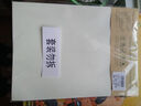 多利博士3本16k22张田字格美工纸10格15行硬笔书法专用练习纸文稿纸小学初高中学生田格练字本【学生必备】 实拍图