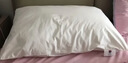 富安娜枕头芯纯棉面料成人枕酒店枕芯纤维软枕 中枕一个装74*48cm 实拍图