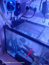 创宁鱼缸氧气泵 养鱼气泵 水族箱增氧泵 打氧加氧泵 增氧机充氧泵 套餐三【大号6.5W】8cm纳米沙盘 晒单实拍图