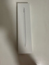 Apple/苹果 Pencil Pro 磁吸触控笔手写笔苹果笔电容笔书写绘画ipad笔 适用于iPad mini/Pro/Air 实拍图