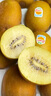 佳沛（zespri）新西兰阳光金奇异果 8个装 特大果单果重约122-146g 水果猕猴桃 实拍图
