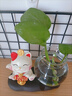 京东鲜花招财猫水培花瓶家居客厅装饰品办公桌面工位摆件水养器皿花盆摆设 实拍图
