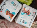 HONEYCARE好命家 狗狗纸尿裤公狗尿不湿尿片安全裤M适用体重16-33kg/12片装 实拍图