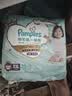 帮宝适（Pampers）一级帮拉拉裤婴儿尿不湿小内裤 XXL码32+4片【一级帮拉拉裤】 实拍图