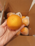 京鲜生 云南哀牢山冰糖橙/橙子 5斤装 单果170-260g 生鲜水果年货礼盒 实拍图