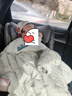惠尔顿（Welldon）智转PRO儿童安全座椅0-7岁i-Size物理通风散热新生婴儿宝宝汽车用 实拍图