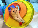 猫玩具自嗨解闷神器猫隧道小猫咪迷宫通道钻洞猫窝宠物用品 【耐抓无异味】S型彩虹隧道125cm（带球） 实拍图