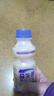 乳酸菌益生菌风味饮料乳酸菌饮品340ml/瓶早餐酸奶好喝 益生菌340ml*1瓶 实拍图