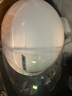 野马（YEMA）3C认证359S电动摩托车头盔男女秋冬季轻便式半盔电瓶车安全帽 四季通用 陶瓷白彩带花配透明长镜 实拍图