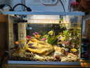 森森（SUNSUN）超白鱼缸一体缸自循环客厅桌面小型家用水族箱HEJ-380 实拍图