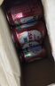 珍珍荔枝味汽水 果味碳酸饮料330ml*24瓶 年货礼盒整箱装（图案随机） 实拍图