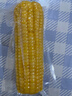 十月稻田 黄甜糯玉米 8根 3.52斤 真空包装 东北粘玉米棒 低脂早餐 实拍图