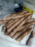 补诱农家自种年货红皮铁棍山药5斤正宗河南焦作特产新鲜紫怀淮山铁杆 垆土多锈[50CM]（今挖直配）5斤 铁棍山药 实拍图