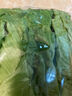 云南鲜生菜约400g 实拍图