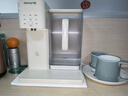 九阳（Joyoung）家用办公室饮水机小型台式桌面即热式家庭多档调节2.7L一体免安装电水壶冲茶泡奶机年会采购WJ180 实拍图