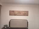 良木主卧老人卧室床头挂画新中式茶室装饰画客厅沙发背景墙壁画高级感 E-玉兰图-棕木框+布艺 40*150CM 实拍图
