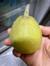 京鲜生 新疆库尔勒香梨 净重10斤 一级 单果100-120g 生鲜水果 实拍图