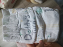 好奇（Huggies）小森林纸尿裤M50片(6-11kg)尿不湿心钻【透氧顶配更低敏】 实拍图