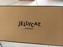 Jellycat天空色龙可爱动物毛绒玩偶柔软陪伴送礼娃娃生日情人节礼物 天空色龙 Large 实拍图