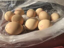 京喜加 谷物喂养初产新鲜鸡蛋40g正负5g生鲜超市买菜早餐土鸡蛋草鸡蛋 40枚富硒鸡蛋50g 实拍图