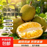 京鲜生 海南菠萝蜜22-27斤  净重22斤+ 生鲜水果 源头直发 实拍图