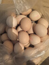 1号会员店可生食鸡蛋30枚净重3.6斤精选大码蛋礼盒装 源头直发 实拍图