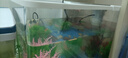 萌嘟星宠 仿真水草鱼缸造景套装水族箱布景装饰摆件假植塑料假水草 5件套 实拍图