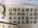 漢墨半生熟竹浆日课纸 初学者书法练习纸方格5cm 100张 文房四宝毛笔纸练字纸 实拍图