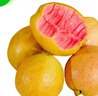 京觅福建红心芭乐 番石榴 应季 低糖孕妇水果 单果150g 净重3斤装 实拍图