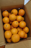 湖南麻阳冰糖橙 当季手剥甜橙子新鲜多汁 9斤实惠装（果径≥60mm） 实拍图
