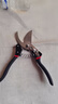 强力剪园艺剪不锈钢剪刀剪枝剪专用省力剪子切屑花芽修花剪刀修枝剪剪刀 sk5粗枝园艺剪 实拍图