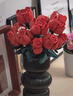 乐高（LEGO）积木拼装10328 玫瑰花束永生花男孩女孩玩具生日圣诞礼物 实拍图