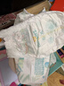 帮宝适（Pampers）清新透气 清新帮 XL84片【清新帮拉拉裤】 实拍图