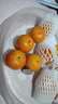 京鲜生 广西荔浦砂糖橘 净重4.5斤 单果35-45mm  年货水果 源头直发包邮 实拍图
