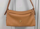 BAGTREE【明星同款】包包树奶盒包植鞣皮单肩斜挎腋下通勤Hobo枕头女士包 焦糖色-中号【磁吸拉链款】 高级小众圣诞节礼物女 实拍图
