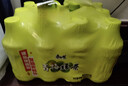 康师傅 青梅绿茶  果味茶饮品量贩 饮料整箱装 500ml*15瓶 热门商品 实拍图