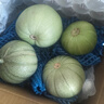 京鲜生 绿宝香瓜甜瓜  4粒装 单果200g起 生鲜水果 实拍图