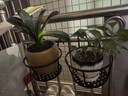 阳台花架置物架花盆托架铁艺悬挂栏杆挂式护栏窗台户外花架子 升级加厚款-2只装黑色 实拍图
