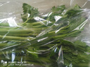 【24小时菜】大芹菜约400g 实拍图