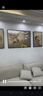 诗六艺家饰客厅装饰画北欧现代简约沙发背景墙挂画三联画大气轻奢壁画晶瓷画 福禄生辉（铝合金外框） 晶瓷画左右50*70+中间100*70亮面 实拍图