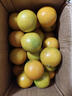京鲜生 广西茂谷柑 净重4.5斤装 单果110g+ 新鲜水果源头直发包邮 实拍图