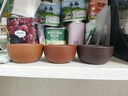 百年利永宜兴紫砂品茗杯原矿紫砂茶碗泡茶杯普洱杯小茶杯子主人杯功夫茶具 降坡泥单个 实拍图